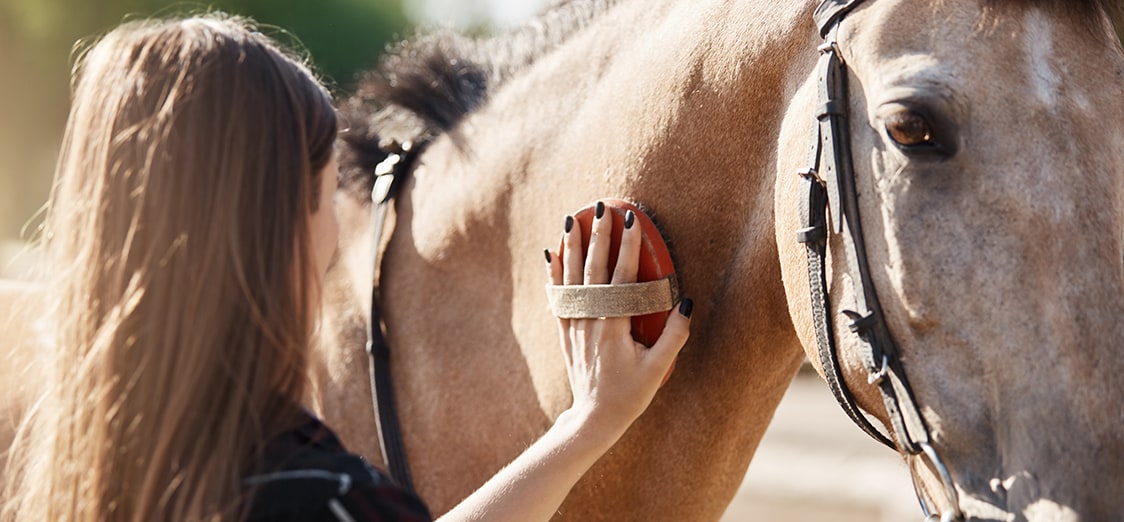 Pearson BTEC Level 3 Land-Based