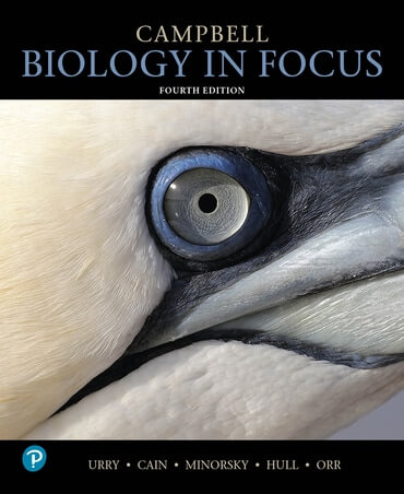 Cover image of Campbell Biology in Focus, 4th Edition