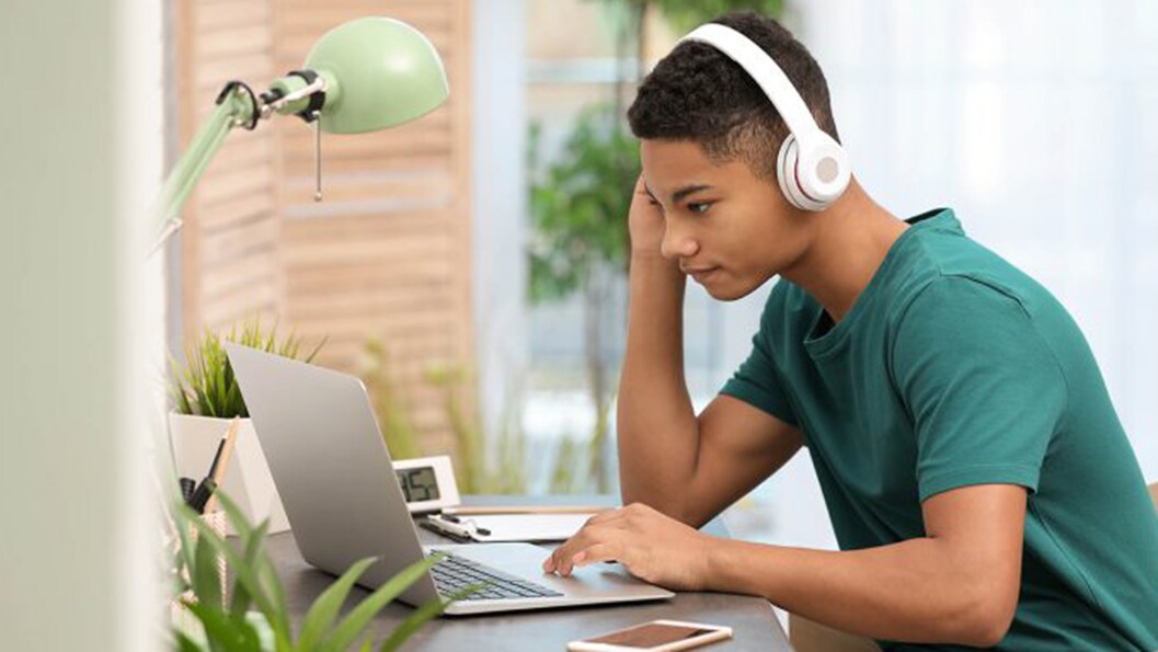 GCSE revision support